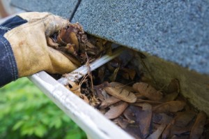 canberra gutter cleaning